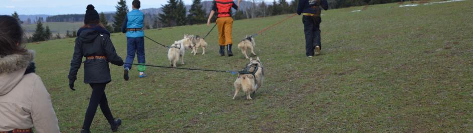 cani rando dans le Doubs