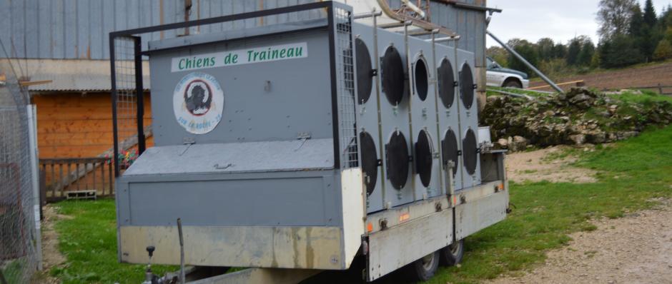 remorque à chiens les nordiques de la ferme sur la roche pour baptême en chiens de traineau