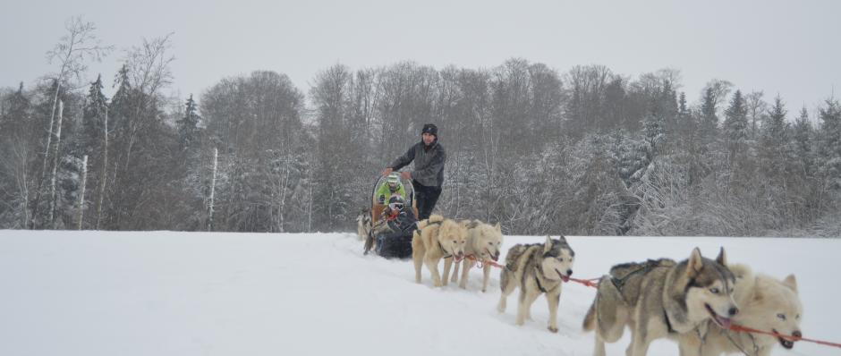 Baptême en chien de traineau à Belleherbe (ferme sur la Roche)