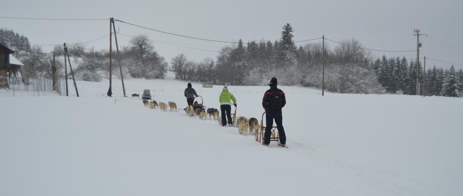 Retour de balade en traîneau à Belleherbe(Doubs-Franche Comté)