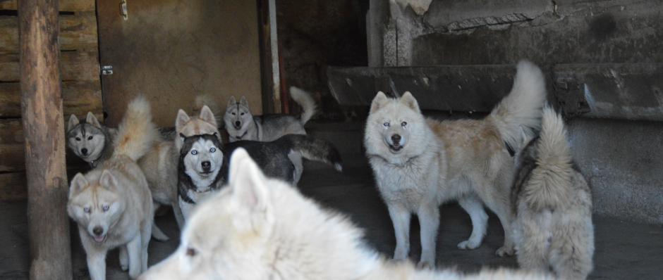 Visite de parc - Ferme sur la roche (Doubs)