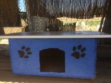 niche pension canine