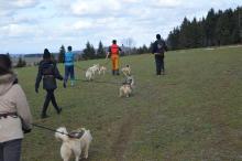 cani rando dans le Doubs