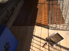 pension canince boxes pension canine Belleherbe