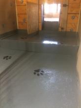 pension intérieure pension canine Belleherbe