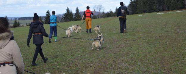 cani rando dans le Doubs