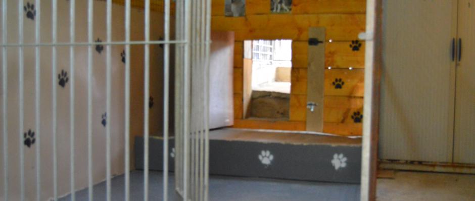 box intérieur, box pension canine Ferme sur la Roche Belleherbe