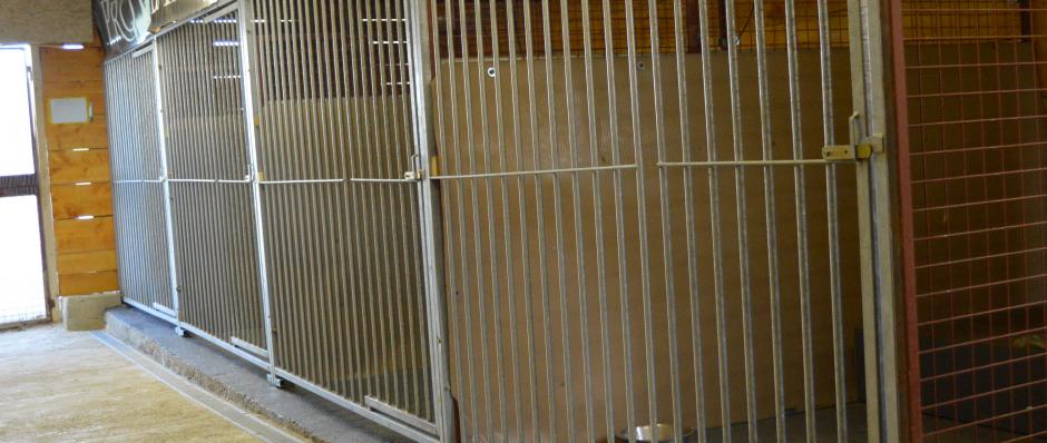 Pension canine - ferme sur la roche, pension canine située dans le Doubs entre Besançon Pontarlier et Montbéliard